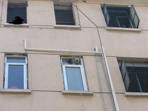 建筑與家居材料的革新與發(fā)展趨勢(shì)